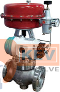 Automatic Control Valves A800 01