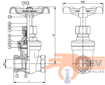 Screwed End Gate Valve 2029 200WOG - Valve p2