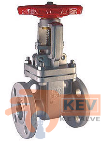 Flanged End Gate Valve 2054 PN16 - Valve p1