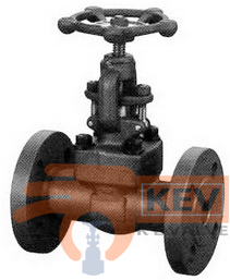 Forged Steel Integral Flanged End Valves