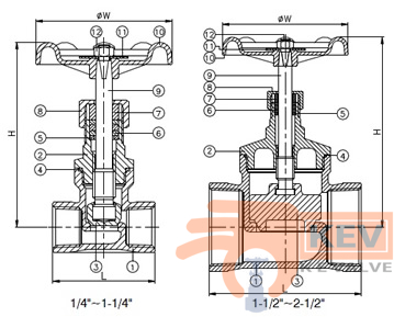 Screwed End Globe Valve 2028 200WOG - Valve p2