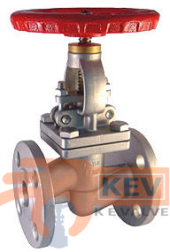 Flanged End Globe Valve PN16 - Valve 2053 p1