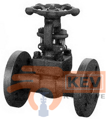 Forged Steel Integral Flanged End Valves