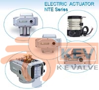 Electric Actuator HTE Series