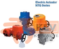 Electric Actuator HTQ Series