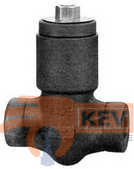 Forged Steel Check Valves