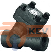 Forged Steel Y-PATTERN Valves