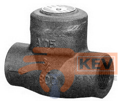 Forged Steel Check Valves