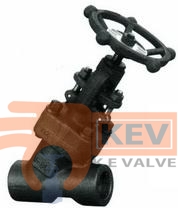 Forged Steel Y-PATTERN Valves