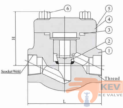 Forged Steel Piston Check Valve 800Lb