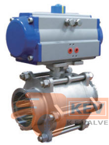 Sanitary Valve, Sanitary Ball Valve, High Purity Ball Valve 2013cd p1