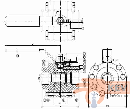 Ball Valve, High Pressure Ball Valve, High Pressure Forged Valve 2013f60 p2