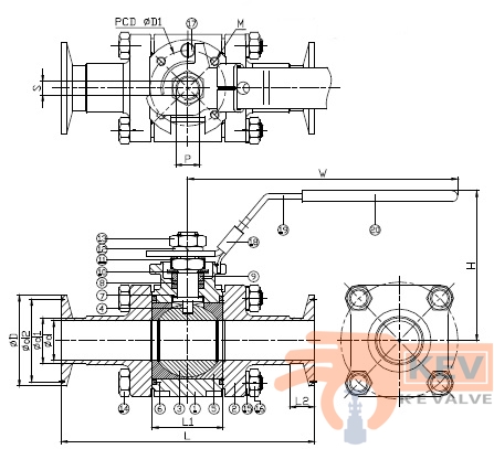 Sanitary Valve, Sanitary Ball Valve, High Purity Ball Valve 2013kcp2