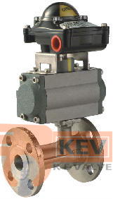 Ball Valves, Flanged End Ball Valves, 1 PC Flanged End Ball Valve 2021D p1