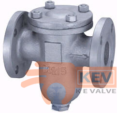 Flanged End Basket Strainer 2049b PN10/16 - Valve p1