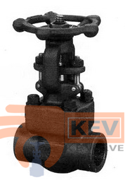 Forged Steel Gate Valve