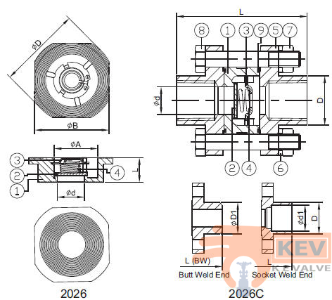 Disk Check Valve 2026, 2026c p3