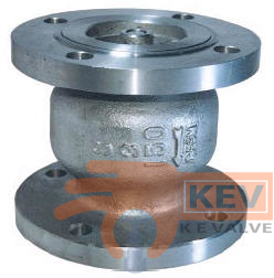 Flanged End Check Valve 2027f PN10/PN16/25/40 - Valve p1