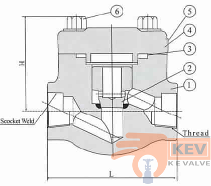 Forged Steel Piston Check Valve 900Lb-1500Lb