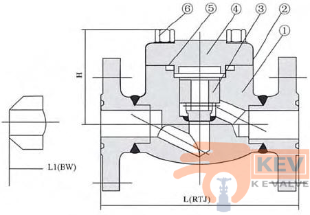 Forged Steel Integral Flanged End Check Valve 900Lb~1500Lb