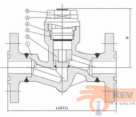 Forged Steel Integral Flanged End Pressure-seal Piston Check Valve 900Lb-2500Lb