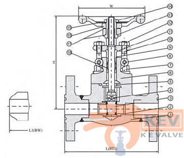 Forged Steel Integral Flanged End Gate Valve 900Lb-1500Lb