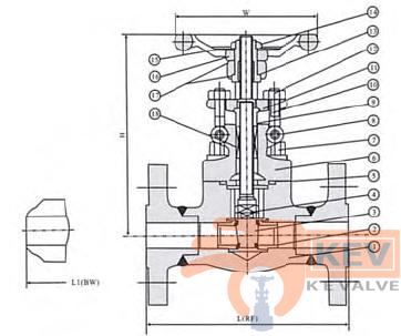 Forged Steel Integral Flanged End Gate Valve 150Lb-600Lb