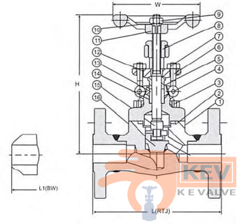 Forged Steel Integral Flanged End Globe Valve 900Lb-1500Lb