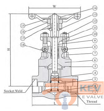 Forged Gate Valve 800Lb