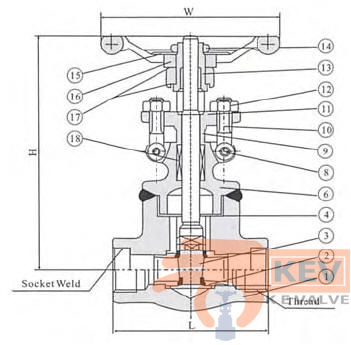 Forged Gate Valve 800Lb