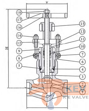 Forged Steel Globe Valve 900Lb - 2500Lb