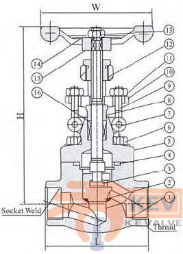 Forged Steel Globe Valve 800Lb