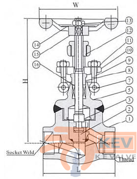 Forged Steel Globe Valve 800Lb