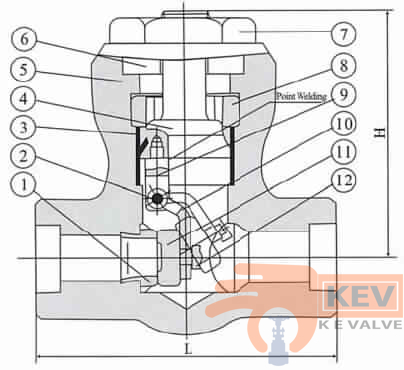 Forged Steel Pressure-seal Swing check Valve 900Lb-2500Lb