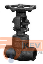 Forged Steel Gate Valve